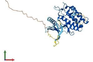 Protein Structure (PS) image for PDZ Binding Kinase (PBK) (AA 1-322) protein (His tag) (ABIN7544543)