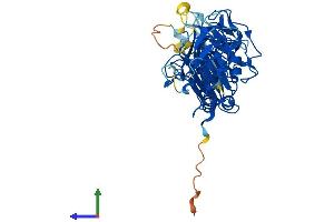 AlphaFold protein structure predicition of Human Recombinant PELI1 Protein, UniprotID Q96FA3