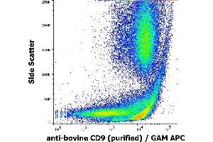 Flow cytometry surface staining pattern of bovine peripheral whole blood stained using anti-bovine CD9 (IVA50) purified antibody (concentration in sample 10 μg/mL) GAM APC. (CD9 antibody)