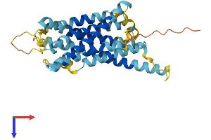 AlphaFold protein structure predicition of Human Recombinant VN1R3 Protein, UniprotID Q9BXE9 (Vomeronasal 1 Receptor 3 (VMN1R3) (AA 1-311) protein (His tag))