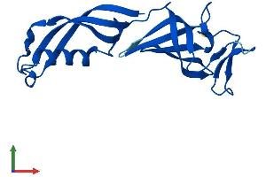 AlphaFold protein structure predicition of Human Recombinant POLR2G Protein, UniprotID P62487