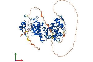 AlphaFold protein structure predicition of Human Recombinant DYRK4 Protein, UniprotID Q9NR20 (DYRK4 Protein (AA 1-520) (His tag))