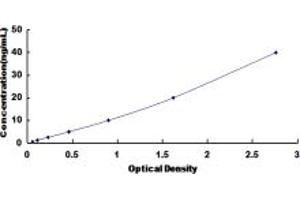 Typical standard curve (ErbB2/Her2 ELISA Kit)