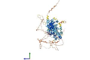 Protein Structure (PS) image for DEAD (Asp-Glu-Ala-Asp) Box Polypeptide 24 (DDX24) (AA 1-859) protein (His tag) (ABIN7547083)