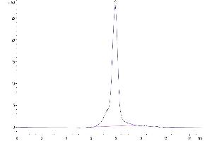 Size-exclusion chromatography-High Pressure Liquid Chromatography (SEC-HPLC) image for Interleukin 31 Receptor A (IL31RA) (AA 20-519) protein (His tag) (ABIN7275018)