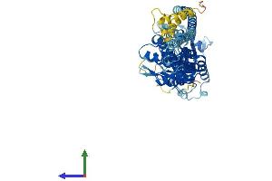 AlphaFold protein structure predicition of Human Recombinant GBP7 Protein, UniprotID Q8N8V2 (GBP7 Protein (AA 1-638) (His tag))