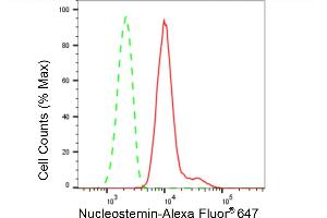 Flow cytometric analysis of Nucleostemin expression in HepG2 cells using Nucleostemin antibody (ABIN7798821), 1:2,000). (Recombinant Nucleostemin antibody)