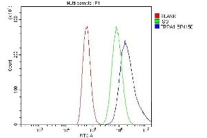 Flow Cytometry analysis of A549 cells using anti-TRPA1/TSA antibody (ABIN7601489). (TRPA1 antibody  (AA 366-615))
