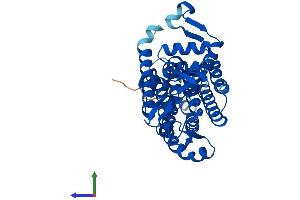 AlphaFold protein structure predicition of Human Recombinant DPAGT1 Protein, UniprotID Q9H3H5 (DPAGT1 Protein (AA 1-408) (His tag))