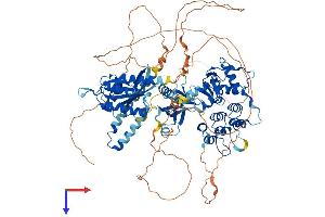 AlphaFold protein structure predicition of Mouse Recombinant Agap3 Protein, UniprotID Q8VHH5 (AGAP3 Protein (AA 1-910) (His tag))