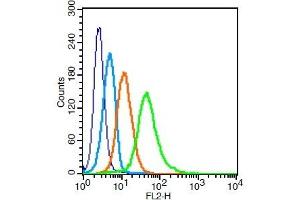 Human U937 cells probed with BST1 Polyclonal Antibody, Unconjugated  at 1:20 for 30 minutes followed by incubation with a PE Conjugated secondary for 30 minutes compared to control cells (blue), secondary only (light blue) and isotype control (orange). (BST1 antibody  (AA 51-150))