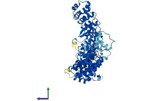 AlphaFold protein structure predicition of Human Recombinant FEM1C Protein, UniprotID Q96JP0
