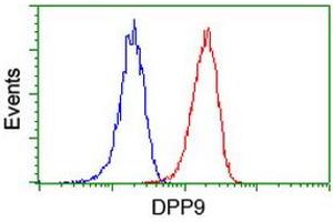 Flow cytometric Analysis of Jurkat cells, using anti-DPP9 antibody (ABIN2455373), (Red), compared to a nonspecific negative control antibody, (Blue). (DPP9 antibody)
