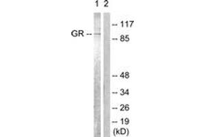 Western blot analysis of extracts from Jurkat cells, treated with EGF 200ng/ml 15', using GR (Ab-226) Antibody. (GR (AA 201-250) antibody)
