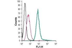 Cell surface detection of EMR1 in live intact mouse J774 macrophage cells: (black line) Cells. (F4/80 antibody  (Extracellular) (FITC))