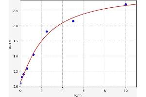 FADD ELISA Kit