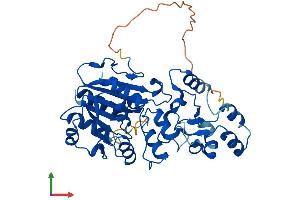 Protein Structure (PS) image for tRNA Aspartic Acid Methyltransferase 1 (TRDMT1) (AA 1-391) protein (His tag) (ABIN7544713)