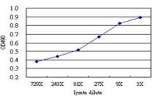 Sandwich ELISA detection sensitivity ranging from approximately 729x to 3x dilution of the CHML 293T overexpression lysate (non-denatured).