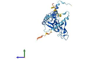 Protein Structure (PS) image for Family with Sequence Similarity 221, Member A (FAM221A) (AA 1-298) protein (His tag) (ABIN7547493)