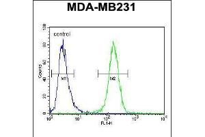 Flow cytometric analysis of MDA-MB231 cells (right histogram) compared to a negative control cell (left histogram). (SMIM14 antibody  (C-Term))
