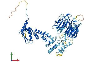 AlphaFold protein structure predicition of Mouse Recombinant Klhl25 Protein, UniprotID Q8R2P1 (KLHL25 Protein (AA 1-589) (His tag))