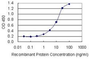 Detection limit for recombinant GST tagged IPO8 is 0. (Importin 8 antibody  (AA 949-1037))