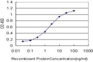 Detection limit for recombinant GST tagged SCAND1 is approximately 0. (SCAND1 antibody  (AA 1-179))
