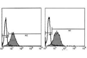 Flow Cytometry (FACS) image for anti-Integrin beta 1 (ITGB1) antibody (ABIN1106227) (ITGB1 antibody)