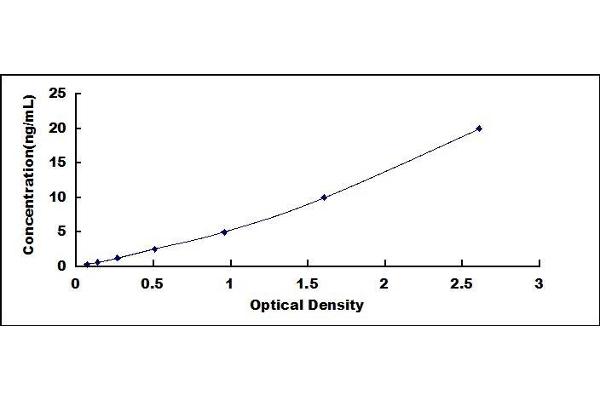 GNMT ELISA Kit