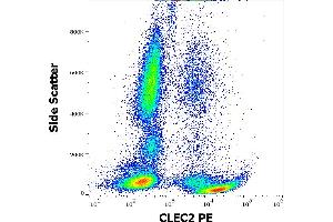 Flow cytometry surface staining pattern of human peripheral whole blood stained using anti-human CLEC2 (AYP1) PE antibody (10 μL reagent / 100 μL of peripheral whole blood).