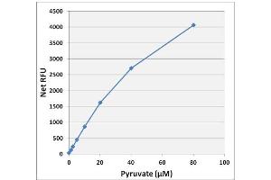 Pyruvate Standard Curve (Pyruvate Assay Kit)
