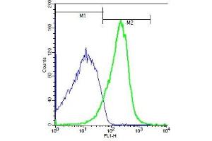 Mouse kidney probed with Rabbit Anti-RIPK3 Polyclonal Antibody, Unconjugated (ABIN700675) (green) at 1:50 for 40 minutes followed by incubation with a FITC conjugated secondary compared to control cells (blue). (RIPK3 antibody)