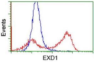 HEK293T cells transfected with either RC206223 overexpress plasmid (Red) or empty vector control plasmid (Blue) were immunostained by anti-EXD1 antibody (ABIN2454027), and then analyzed by flow cytometry. (EXD1 antibody)