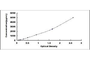 Typical standard curve (CCL22 ELISA Kit)