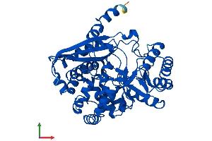 AlphaFold protein structure predicition of Human Recombinant ENOSF1 Protein, UniprotID Q7L5Y1 (ENOSF1 Protein (AA 1-443) (His tag))