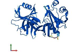 AlphaFold protein structure predicition of Mouse Recombinant Pbld2 Protein, UniprotID Q9CXN7 (PBLD2 Protein (AA 1-288) (His tag))
