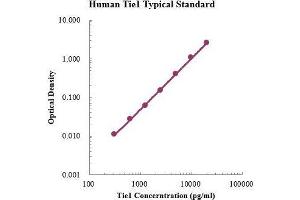ELISA image for tyrosine Kinase with Immunoglobulin-Like and EGF-Like Domains 1 (TIE1) ELISA Kit (ABIN3198483)