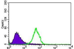 Flow cytometric analysis of HeLa cells using NES mouse mAb (green) and negative control (purple). (Nestin antibody  (AA 419-588))