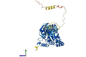 Protein Structure (PS) image for beta-1,3-N-Acetylgalactosaminyl Transferase 2 (B3GALNT2) (AA 1-504) protein (His tag) (ABIN7564329)