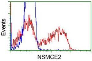 HEK293T cells transfected with either RC207639 overexpress plasmid (Red) or empty vector control plasmid (Blue) were immunostained by anti-NSMCE2 antibody (ABIN2453380), and then analyzed by flow cytometry. (NSMCE2 antibody)