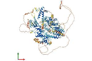 Protein Structure (PS) image for RecQ Protein-Like 4 (RECQL4) (AA 1-1216) protein (His tag) (ABIN7564177)