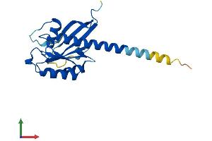 AlphaFold protein structure predicition of Mouse Recombinant Rab35 Protein, UniprotID Q6PHN9