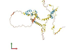 AlphaFold protein structure predicition of Human Recombinant FAM47DP Protein, UniprotID A6NHR8 (FAM47DP Protein (AA 1-397) (His tag))