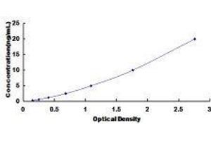ELISA image for Protein tyrosine Phosphatase, Receptor Type, J (PTPRJ) ELISA Kit (ABIN417669)