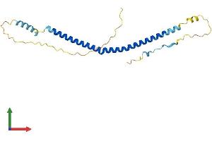 AlphaFold protein structure predicition of Mouse Recombinant Bloc1s4 Protein, UniprotID Q8VED2