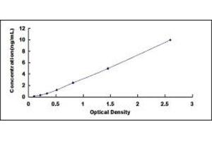 Typical standard curve (NCAM2 ELISA Kit)