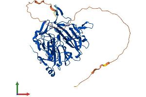 AlphaFold protein structure predicition of Mouse Recombinant Rcc2 Protein, UniprotID Q8BK67 (RCC2 Protein (AA 1-520) (His tag))
