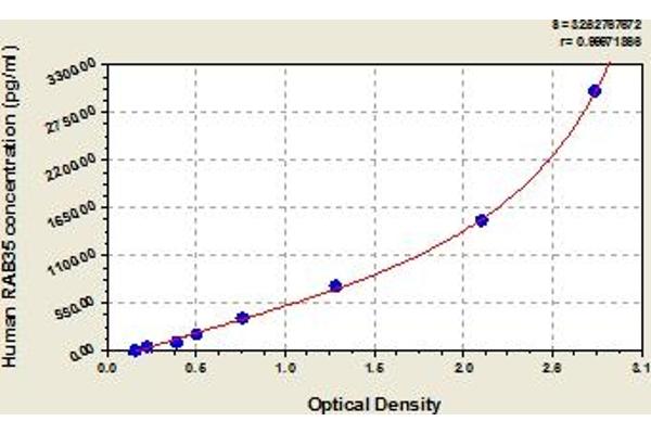 RAB35 ELISA Kit