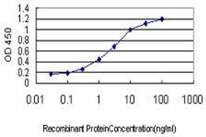 Detection limit for recombinant GST tagged TNFRSF8 is approximately 0. (TNFRSF8 antibody  (AA 21-133))