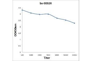Antigen: 2 µg/100 µL  Primary: Antiserum, 1:500, 1:1000, 1:2000, 1:4000, 1:8000, 1:16000, 1:32000;  Secondary: HRP conjugated Rabbit Anti-Goat IgG at 1: 5000;  TMB staining Read the data in Microplate Reader by 450nm. (HNRNPU antibody  (AA 1-40))